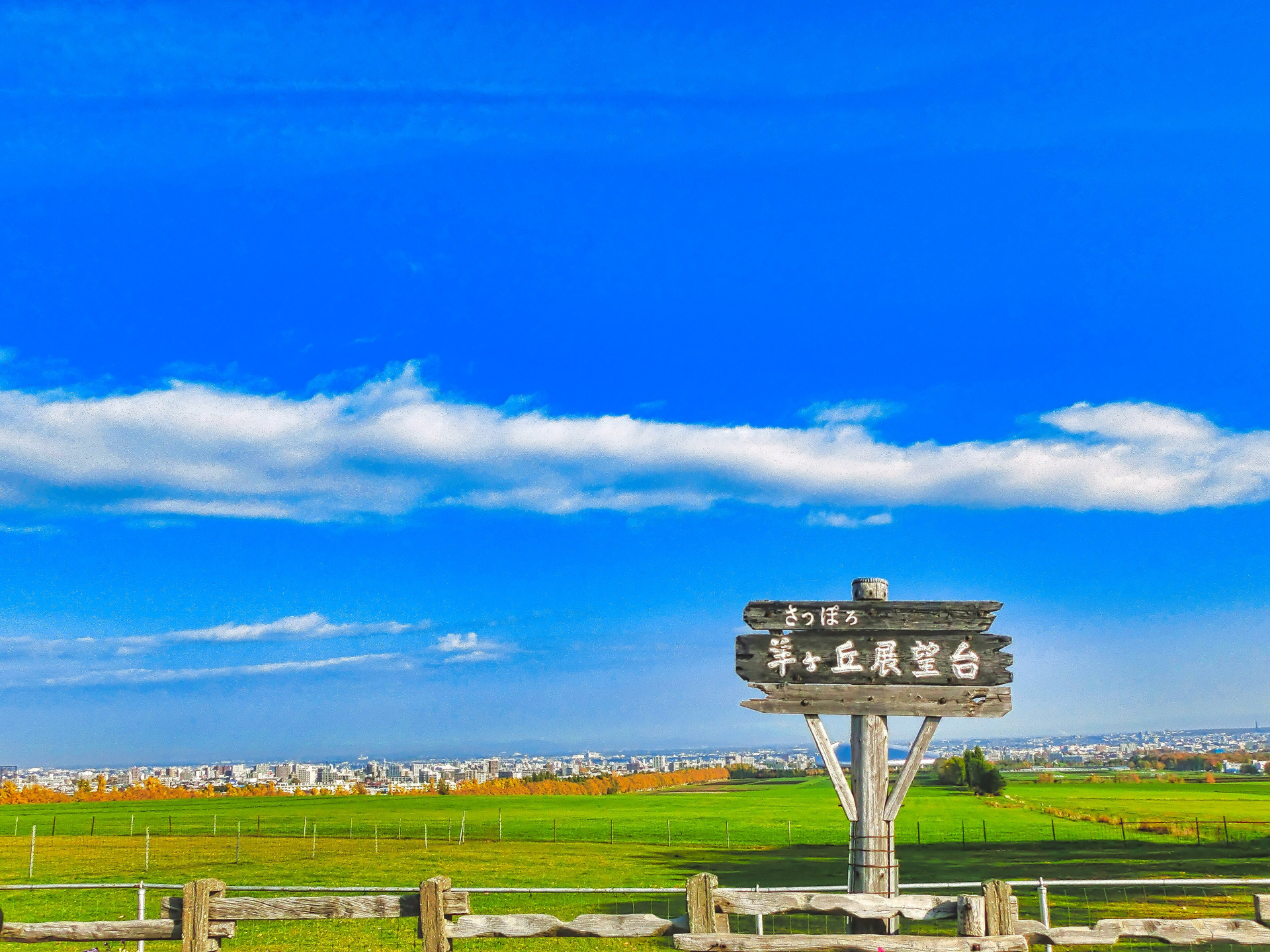 羊ヶ丘展望台から望む札幌の青空と草原